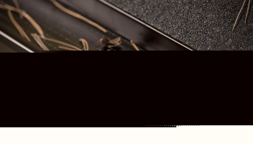 Protège-Gouttières